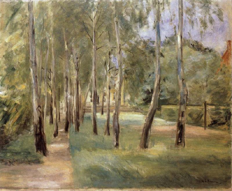 Max Liebermann The Birch-Lined Avenue in the Wannsee Garden Facing West oil painting image